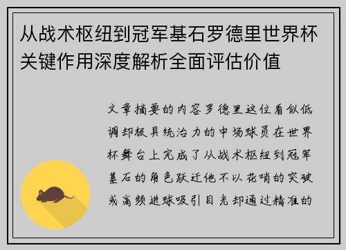 从战术枢纽到冠军基石罗德里世界杯关键作用深度解析全面评估价值