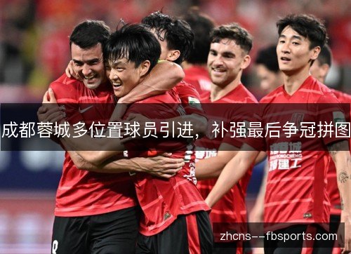 成都蓉城多位置球员引进,补强最后争冠拼图 成都蓉城多位置球员引进,补强最后争冠拼图